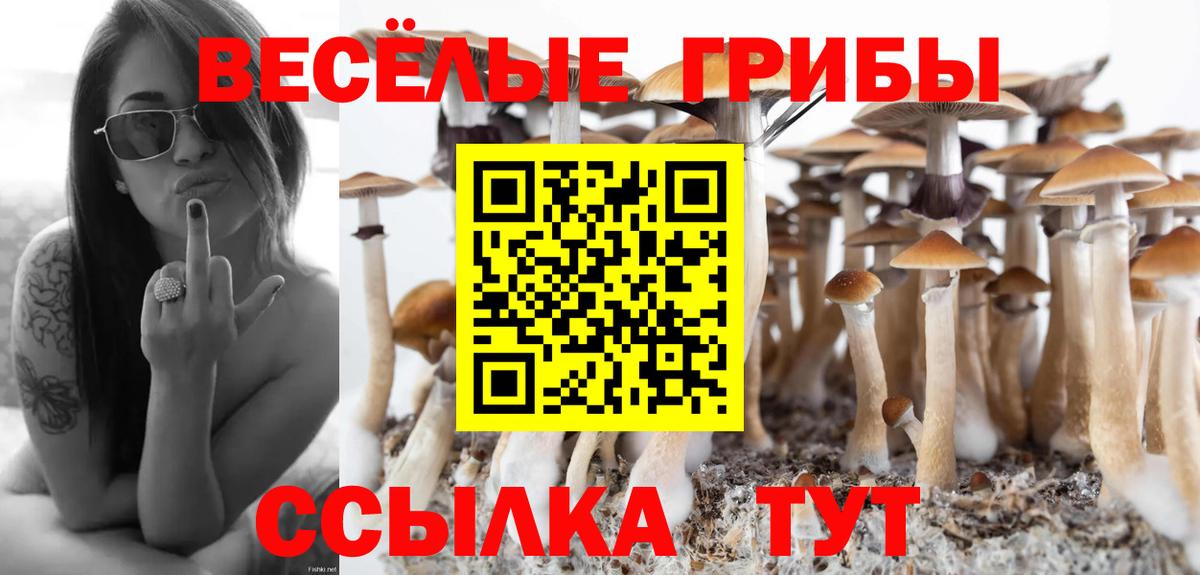 Новозыбков  Галлюциногенные грибы MAGIC MUSHROOMS  Вход с VPN 