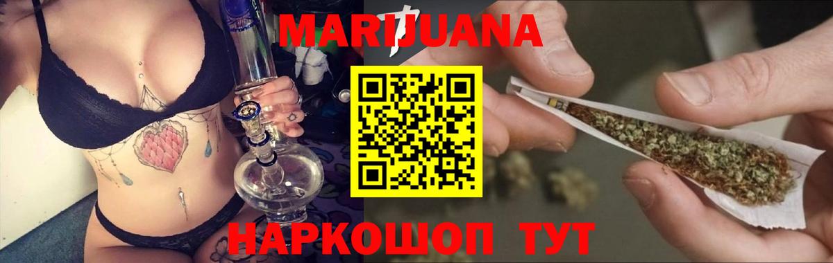 Новозыбков  Бошки марихуана планчик  Вход с VPN  Канабис OG Kush  Шишки марихуана конопля 